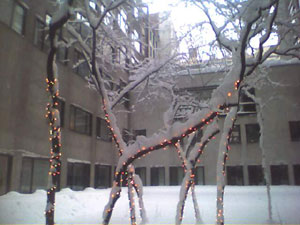 Blizzard Photos: 77 Bleecker Street, the view of the courtyard.