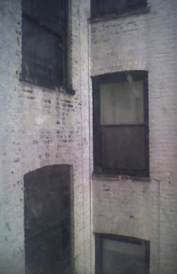 The Windows at 331 Keap Street