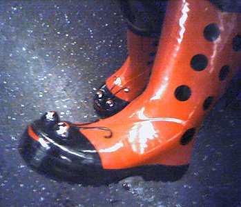 Ladybug Shoes